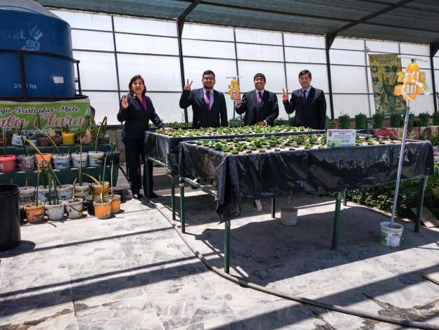 Maestro Power: docentes de Arequipa lograron el primer puesto al crear una forma de cultivo saludable y económico de lechugas
